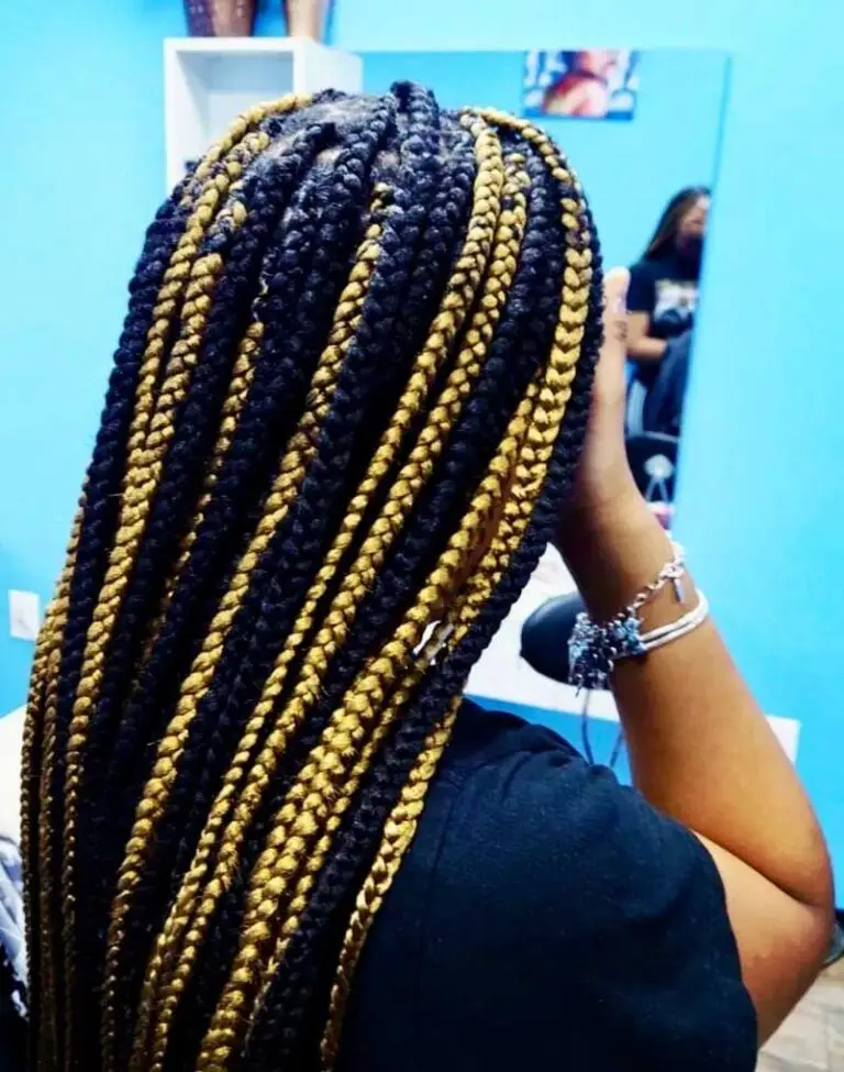 Box-braids-$250